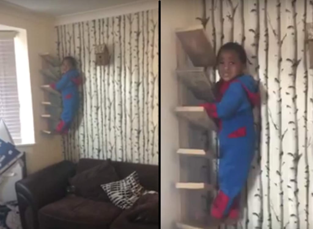 Niño disfrazado de Spider-Man se arrepiente de su aventura