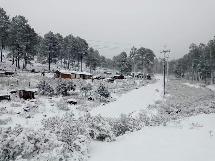 Durango registra su primer nevada del año en Guanaceví