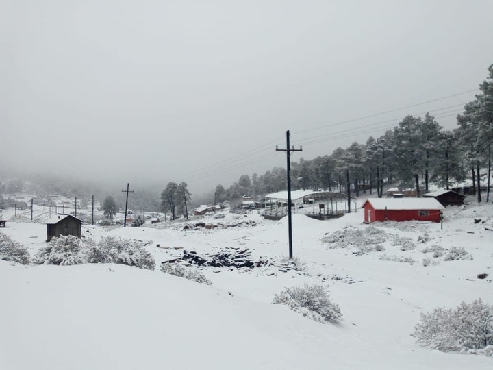 Cubre nieve el noroeste del estado de Durango
