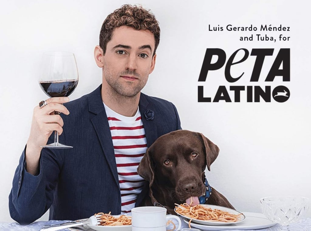 Dejen que los perros vivan dentro de la casa: Luis Gerardo Méndez