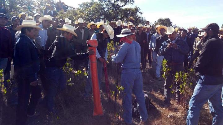 Los tepehuanos recuperan 500 hectáreas