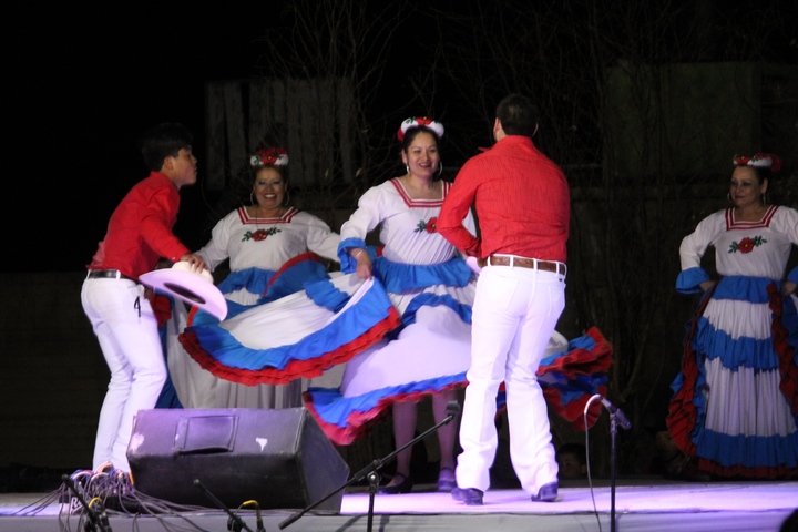 Avanza construcción de red de domos