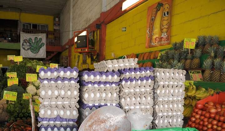 Produjo Durango 63 mil toneladas de huevo en 2018
