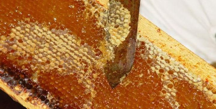 471 toneladas de miel durante 2018