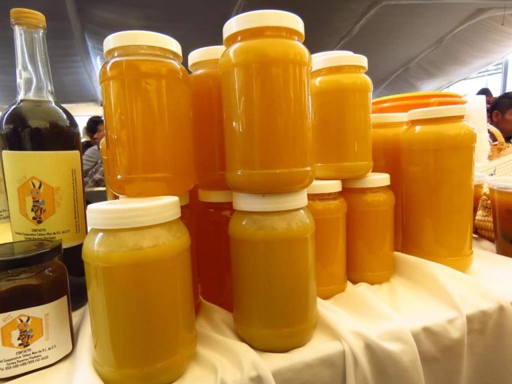 Oaxaca, quinto lugar en producción de miel en México