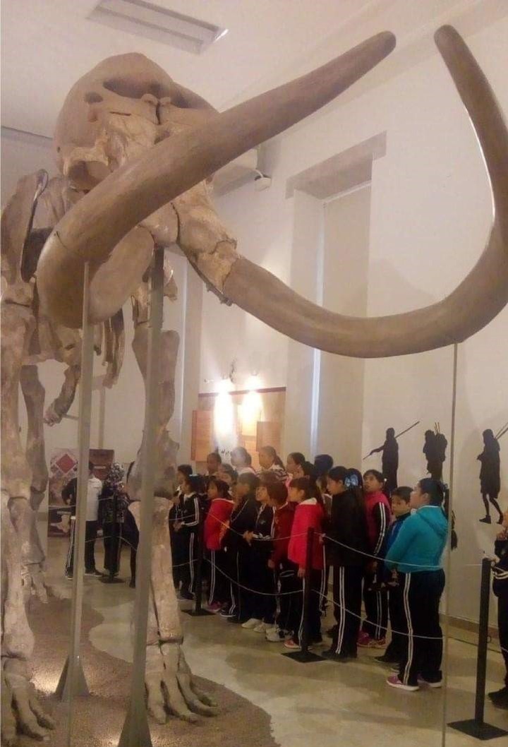 Más de 10 mil han visitado al mamut