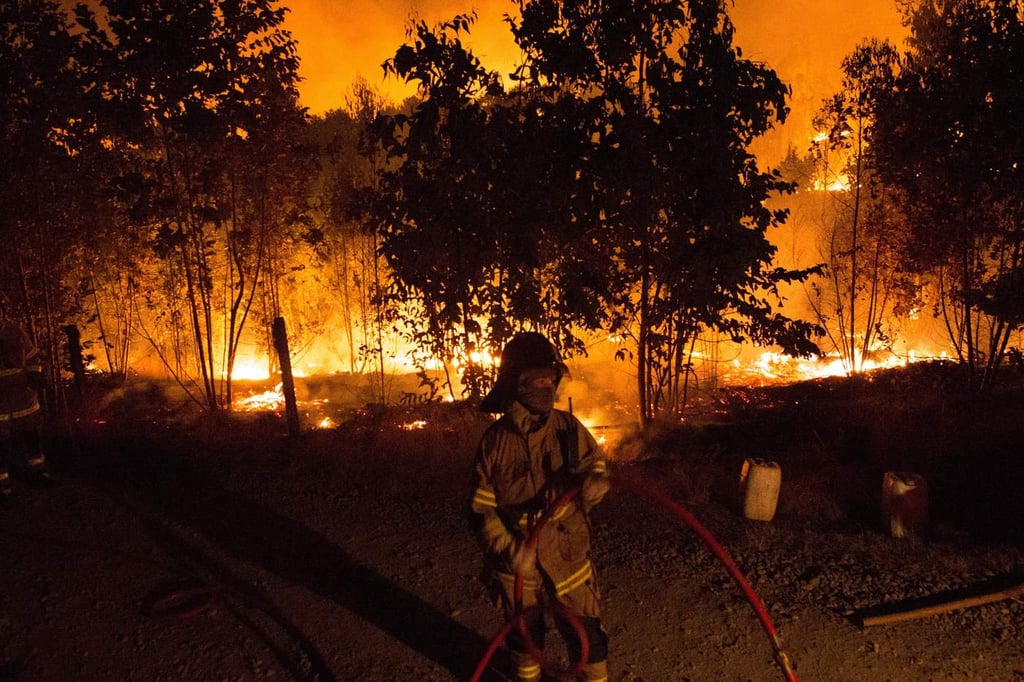 Chile, sin recursos para reforestar tras ola de incendios