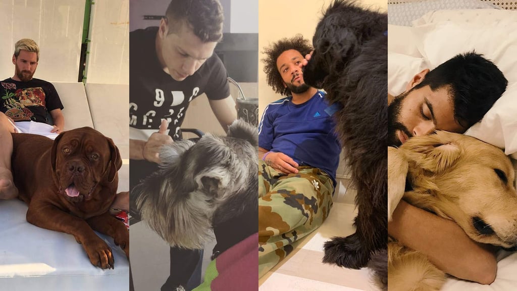 Futbolistas presumen a sus 'perrhijos'