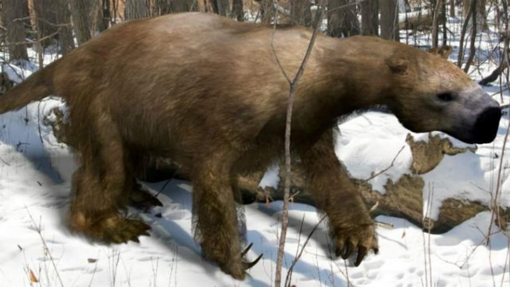 Humanos jugaron un rol en extinciones del Pleistoceno