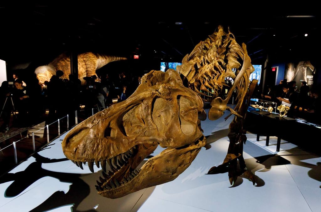 T Rex resucita en el Museo de Historia Natural de NY