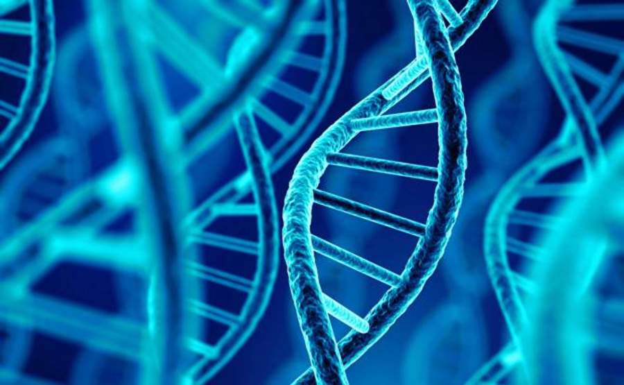 Buscan secuenciar ADN de diaguitas, precolombinos de Chile