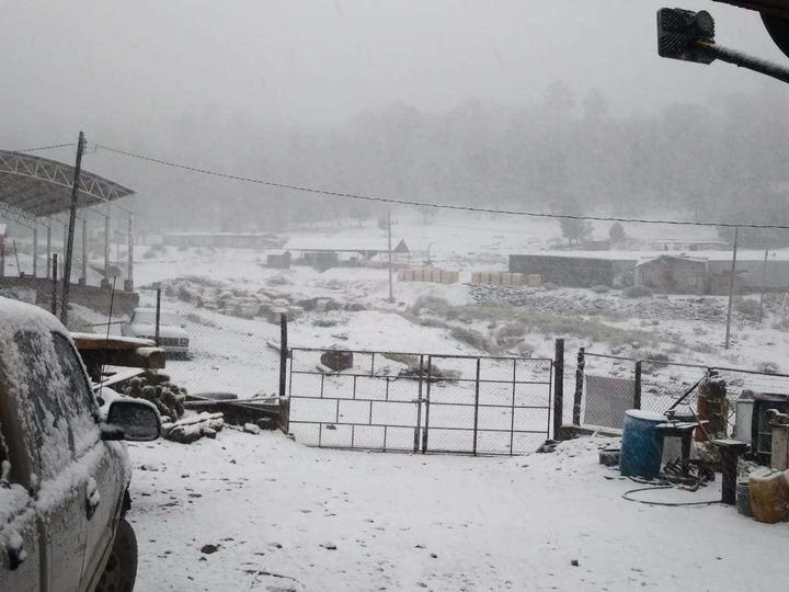 Reportan nevadas en Guanaceví