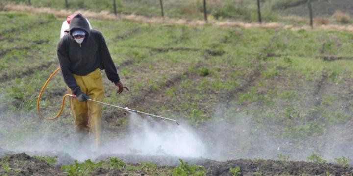 Advierten riesgos por uso de herbicidas cancerígenos