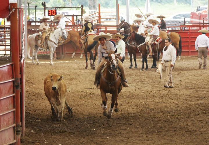 La crema y nata de la charrería