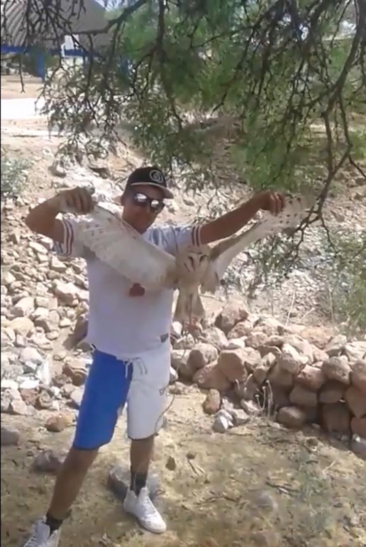 Jóvenes presuntamente de Durango queman viva a lechuza