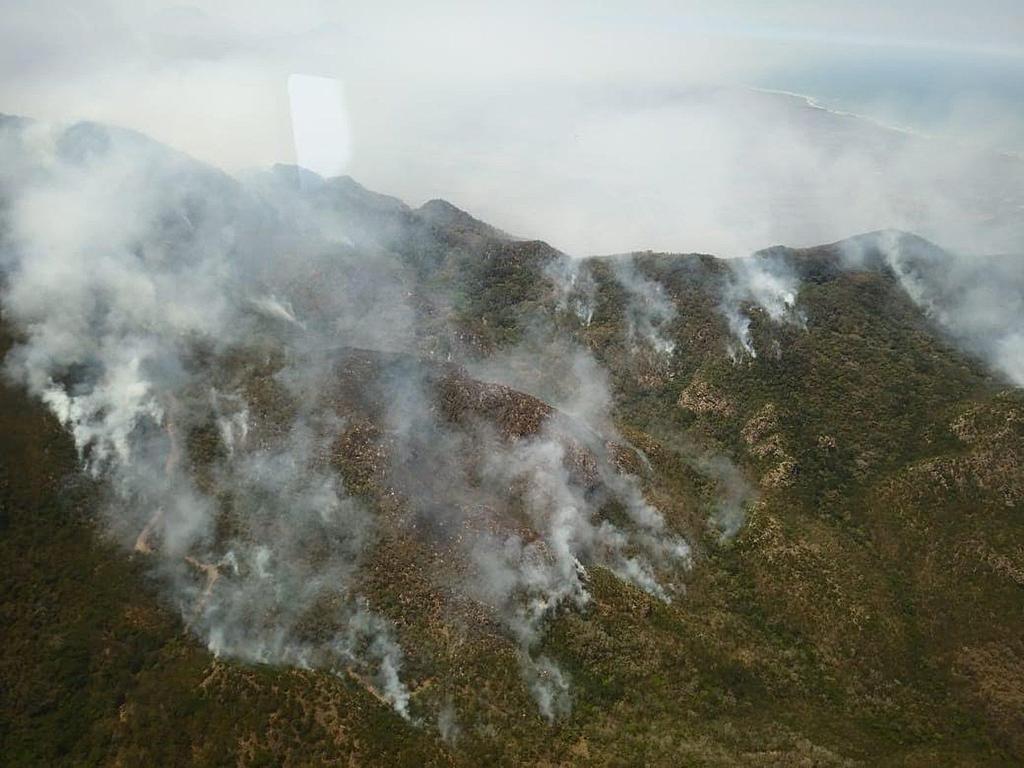 Controlan incendio forestal en Alto Lucero, Veracruz