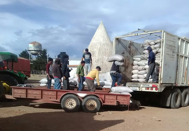 Urgen a mejorar esquema de frijol