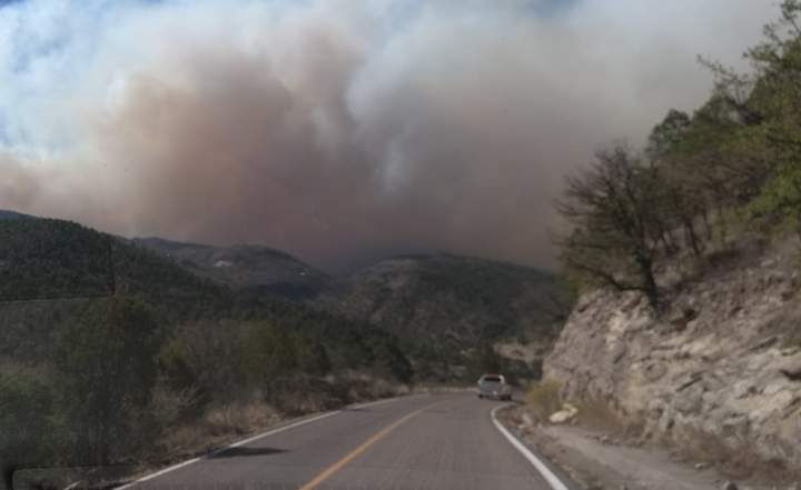 Incendio forestal causa daños en más de mil hectáreas