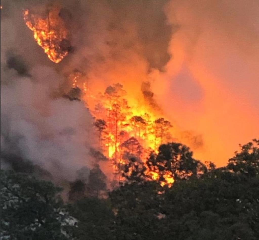 Suben a 172 los incendios forestales en Oaxaca