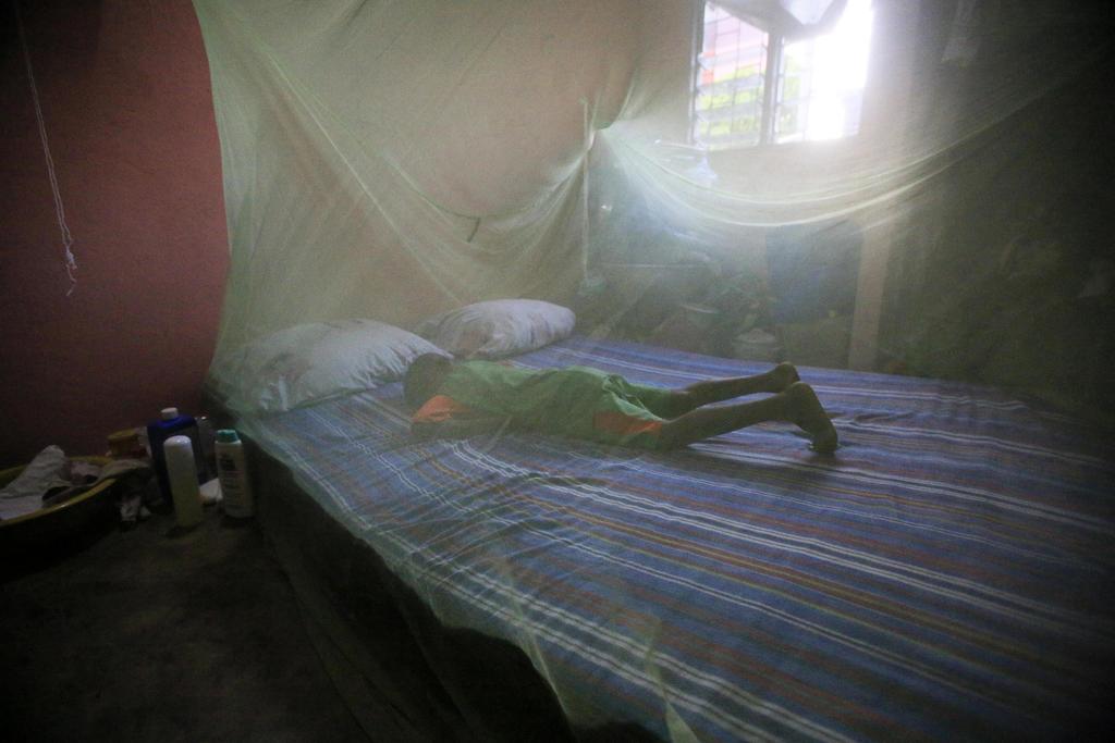 2008: Empieza a observarse el Día Mundial del Paludismo