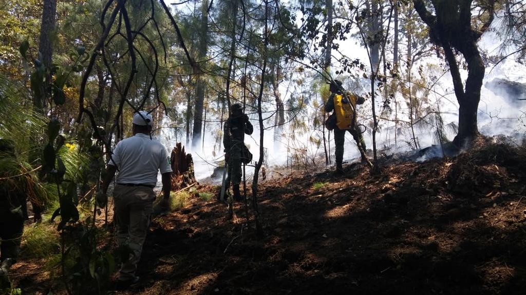 Intentan sofocar incendio forestal en Chiapas