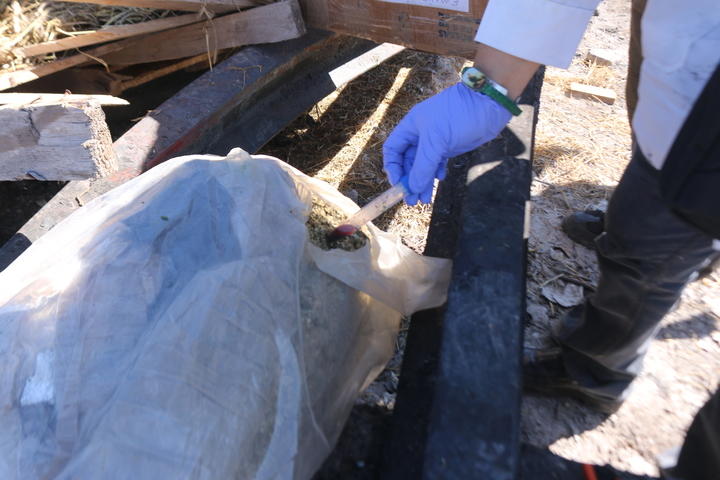 Destruyen más de 300 kilos de droga