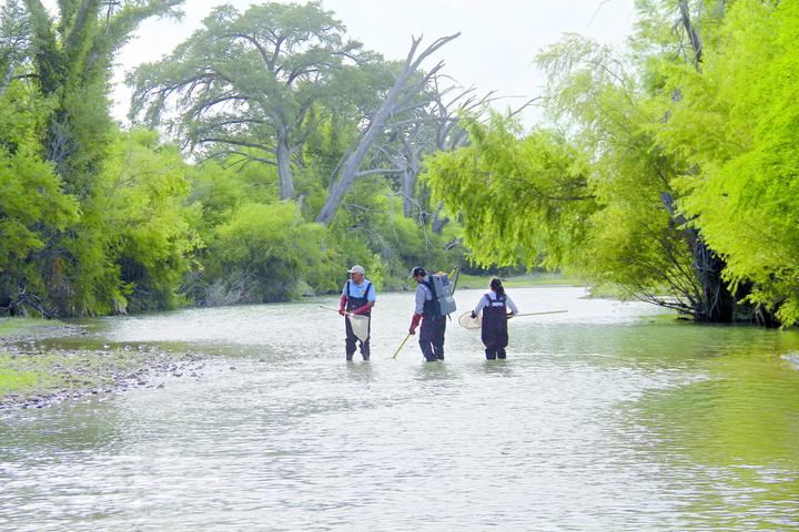 Abren convocatoria para posgrados en la UJED