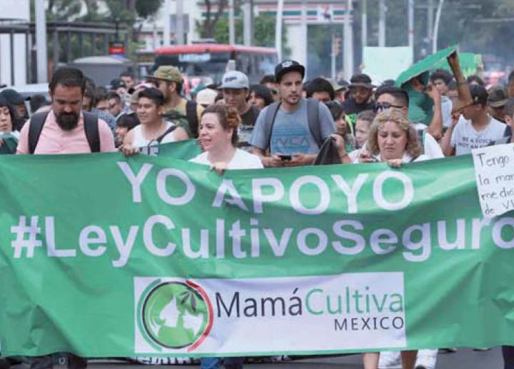 Marchan miles por que se legalice marihuana en México