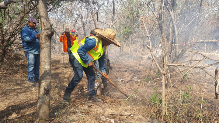 Registran bajo nivel de incendios