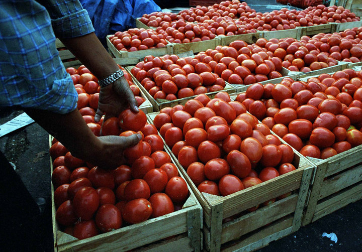 Impone EU arancel de 17% al tomate mexicano