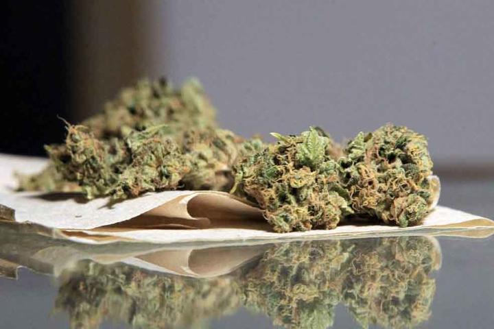 'Cannabis sería sólo en casos especiales'
