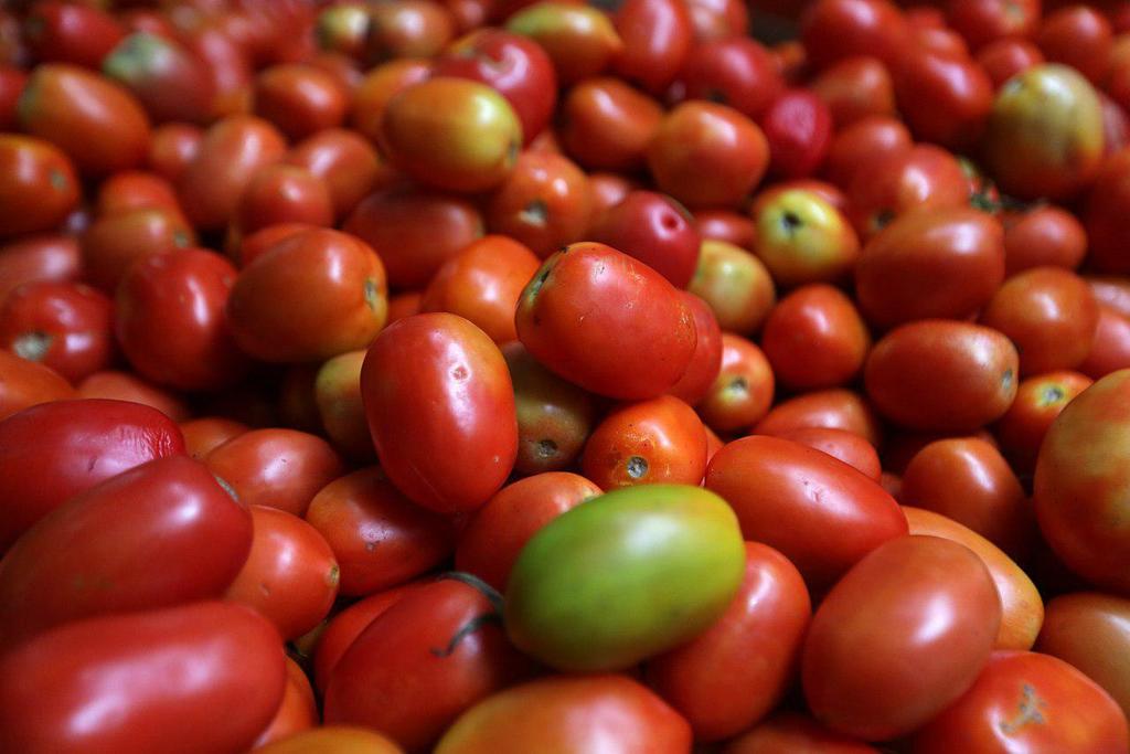 Aranceles a tomate costarán 350 mdd, estiman productores