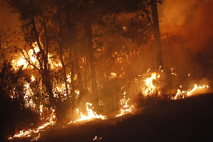 Fuego consume 10 mil hectáreas en Durango