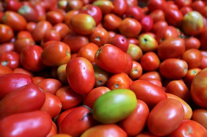 Arancel al tomate afecta inversión