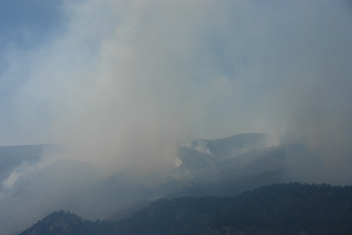 Suman 85 incendios forestales en 2019