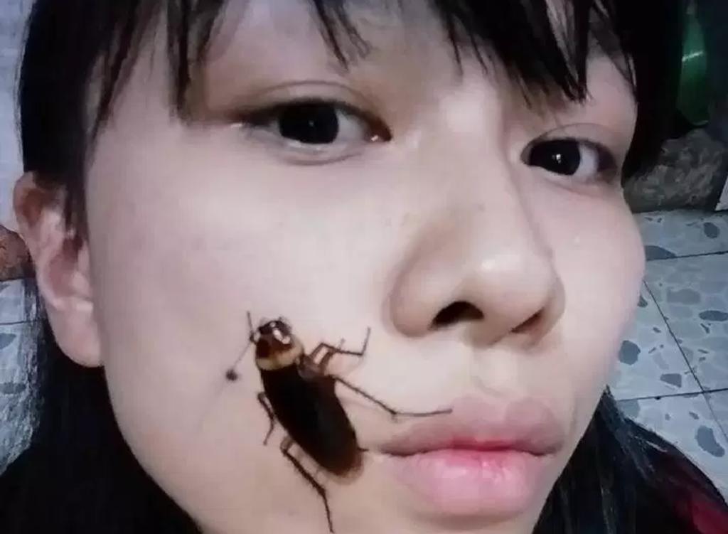 ‘Desafío cucarachas’, el extraño nuevo reto en redes sociales asiáticas