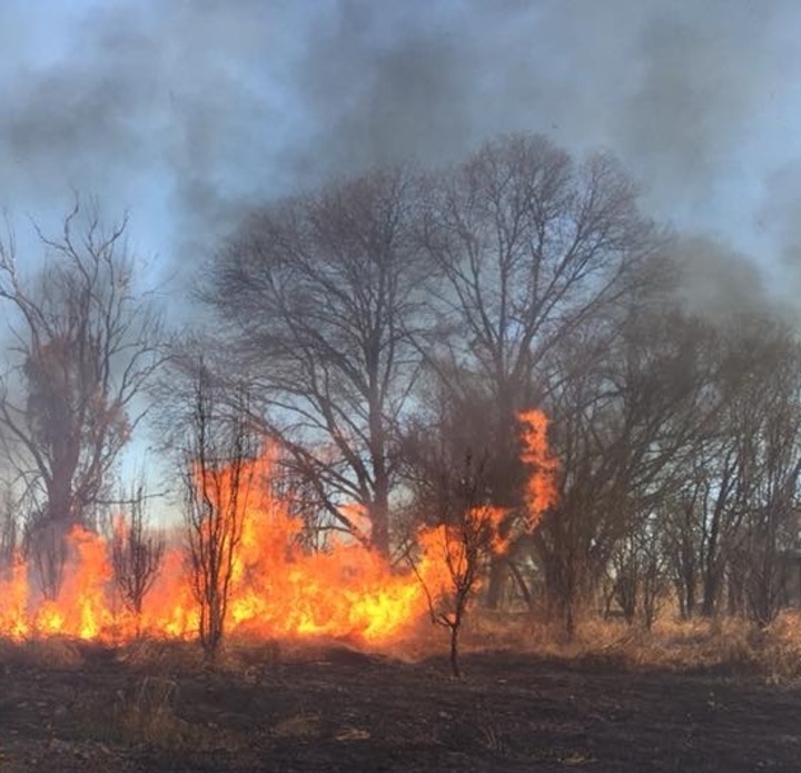 Inquietud por incendios forestales en Durango