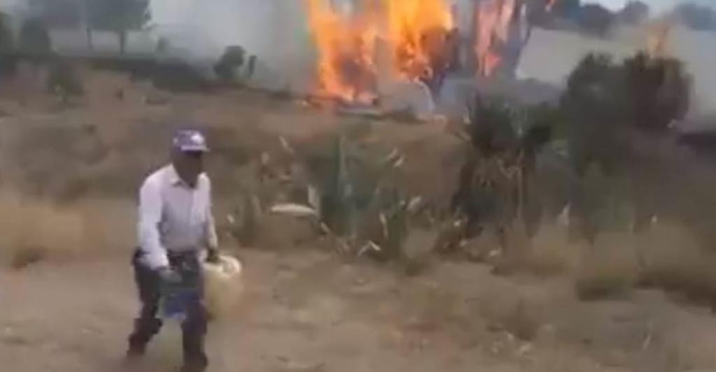 Captan a hombre quemando árboles 'porque son suyos'