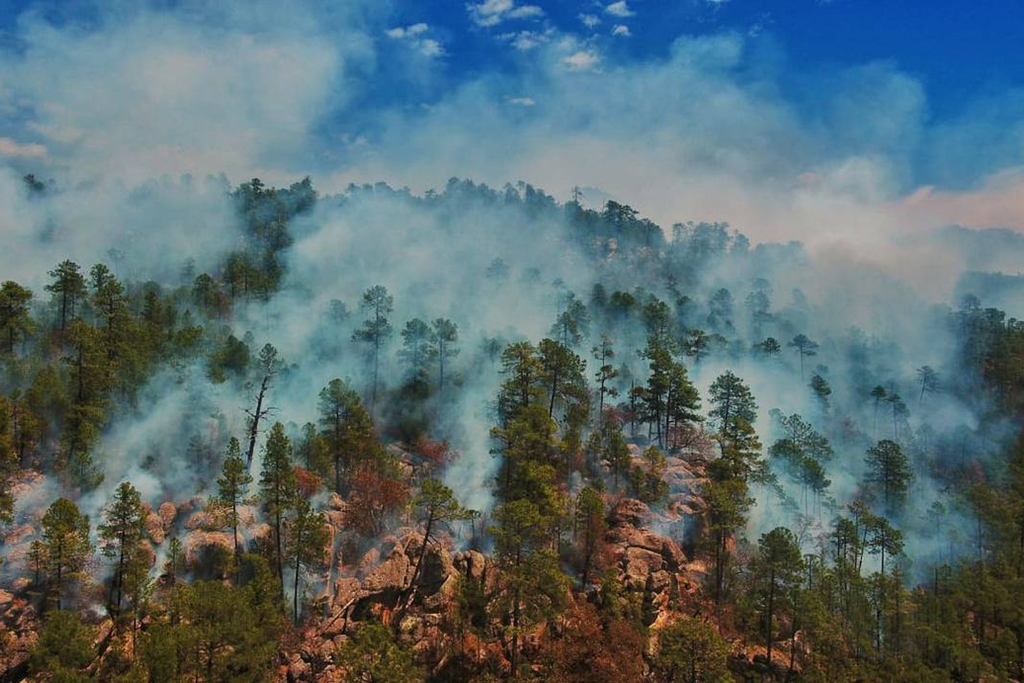Reportan posibles incendios forestales