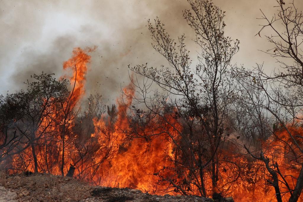 Guerrero suma 160 incendios forestales en lo que va de la temporada