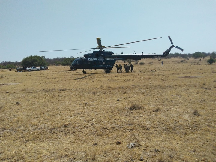 Helicóptero de la PF se suma a combate de incendios forestales