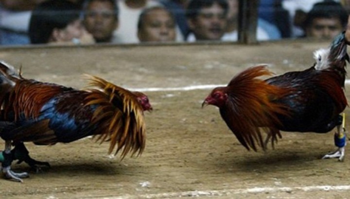 Cierren las puertas, señores