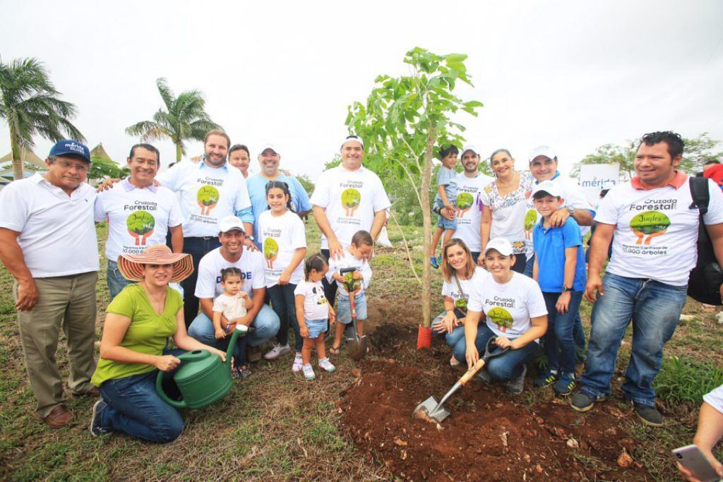 Sembrarán 10 mil árboles en Mérida, Yucatán