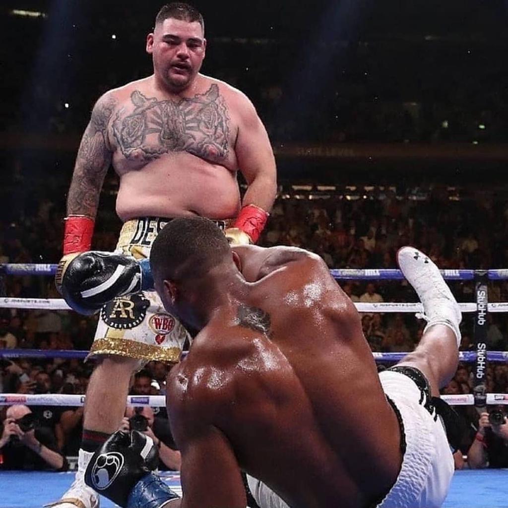 Andy Ruiz Jr y Joshua tendrán revancha