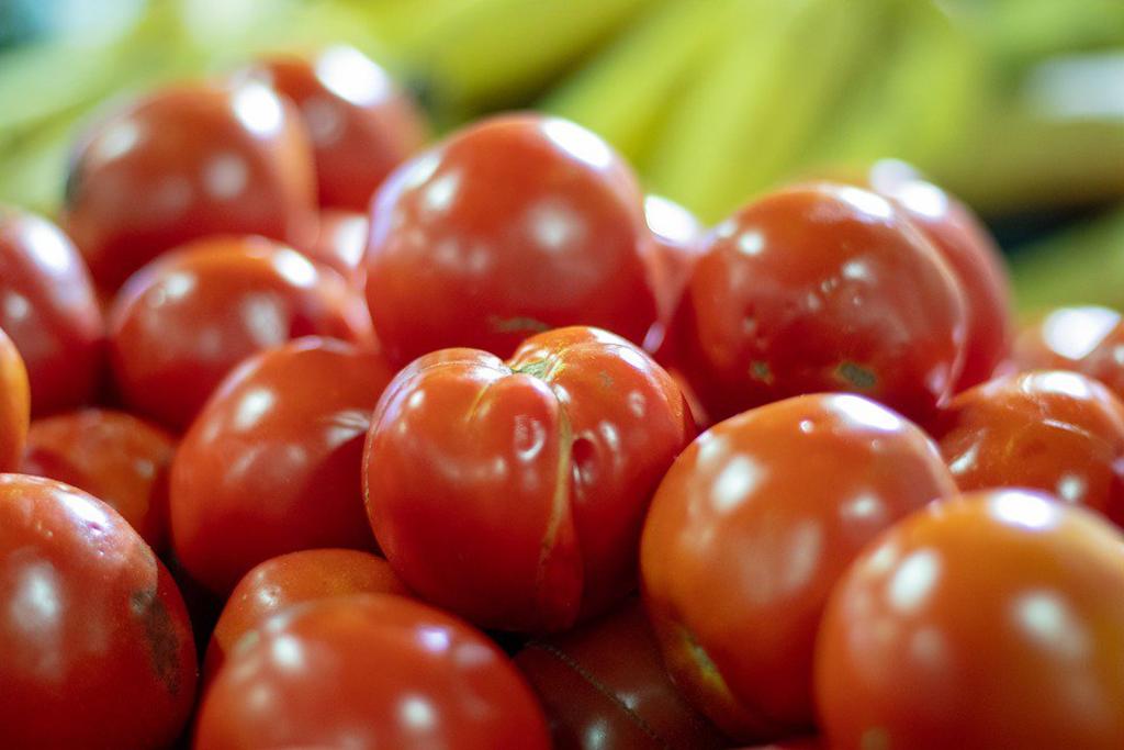 Piden suspender arancel al tomate mexicano