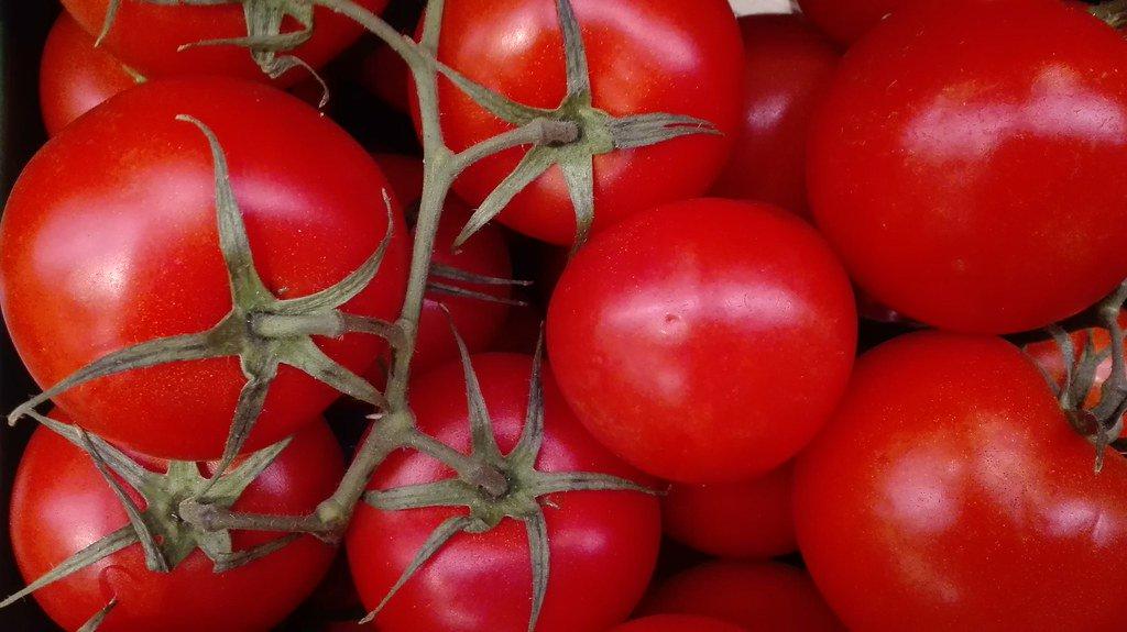 Presenta EUA nuevo obstáculo a productores de tomate