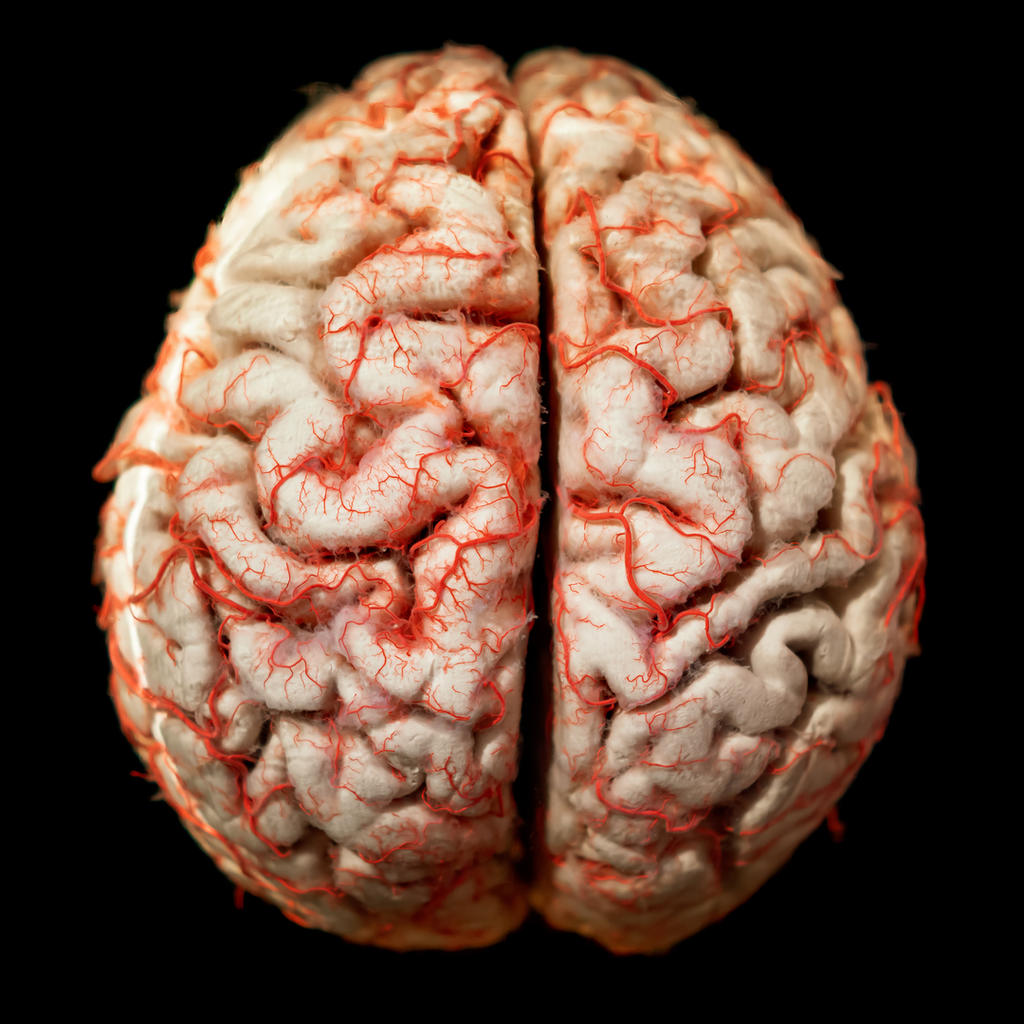 Cerebro muestra 'inquietud' si robots parecen demasiado humanos