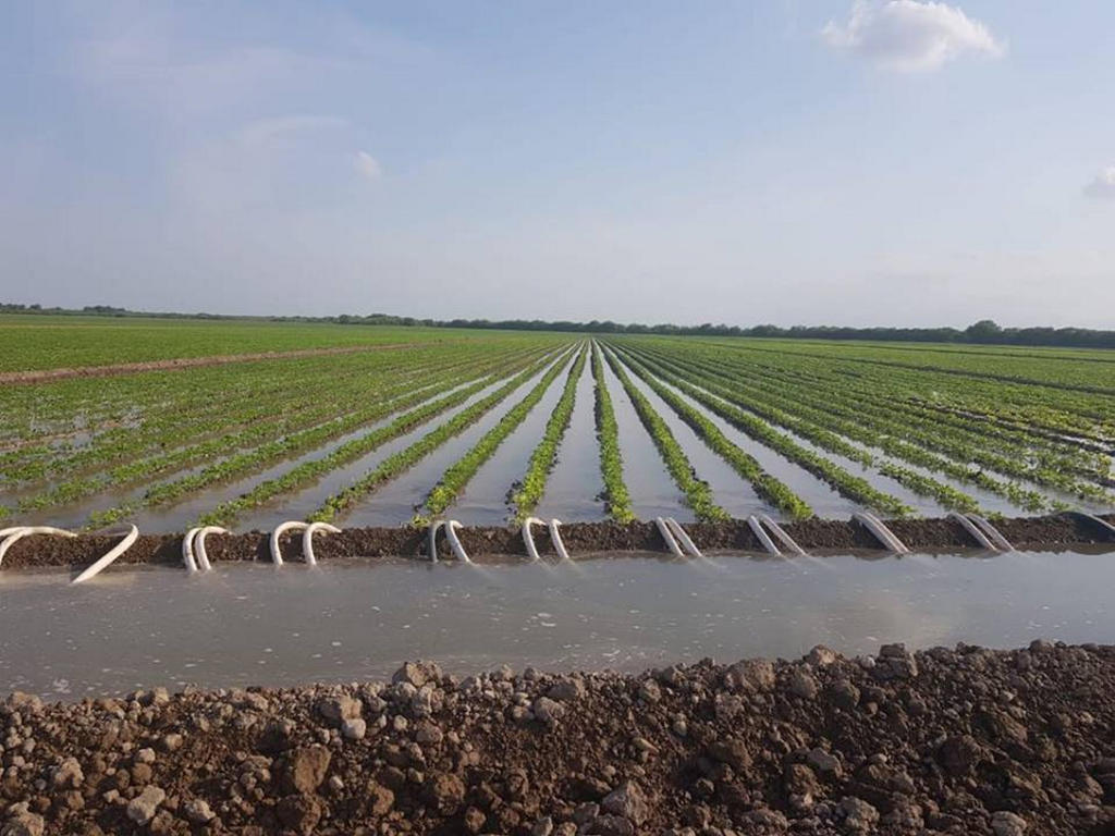 Analizarán problemáticas del campo