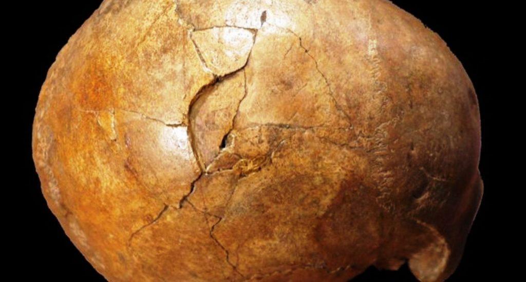 Confirman la muerte violenta de un hombre de hace 33,000 años