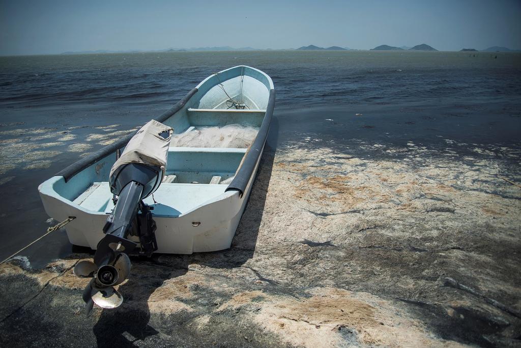 Aguas negras infectan Laguna Superior en el Istmo de Tehuantepec